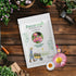 Acroclinium flower seeds